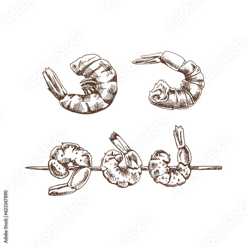 Organic food. Hand drawn retro style vector sketch of shrimps on a skewer and prawns. Doodle vintage illustration. Engraved image.