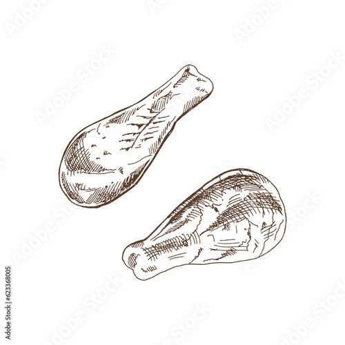 Organic food. Hand drawn retro style vector sketch of  fried chicken legs. Doodle vintage illustration. Engraved image.