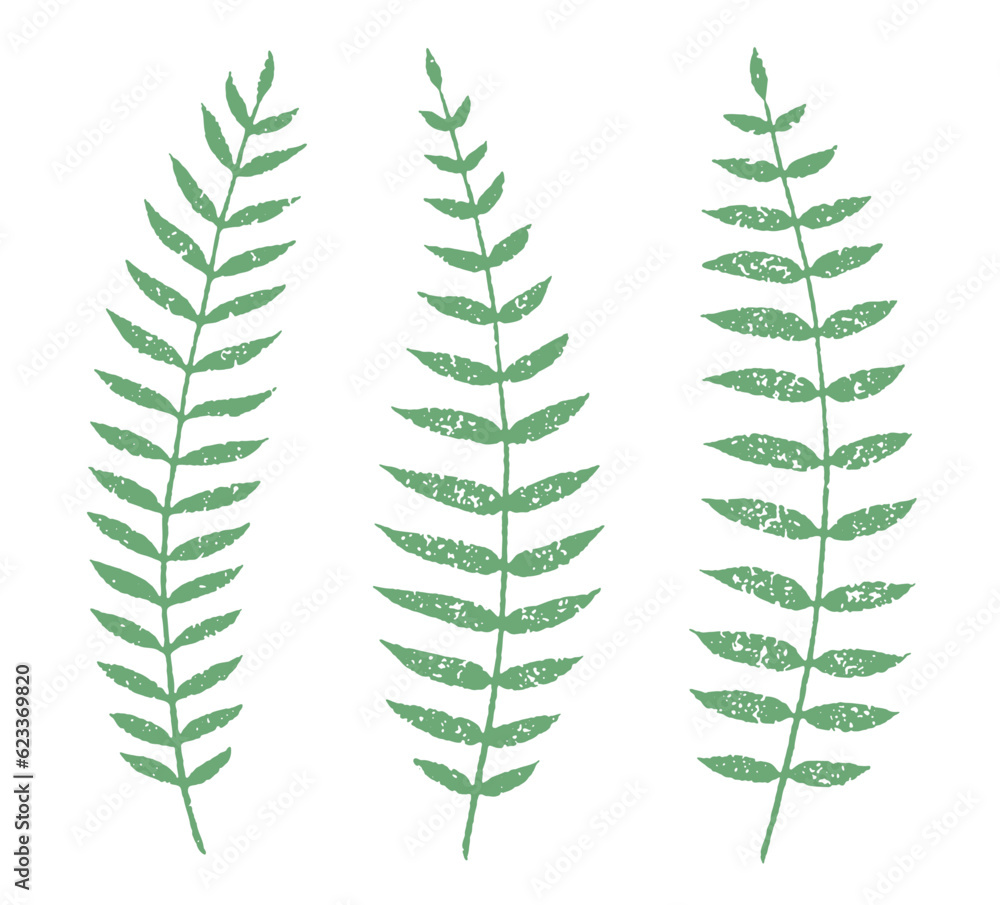 One-color fern leaves with grainy texture One-color fern leaves with grainy texture