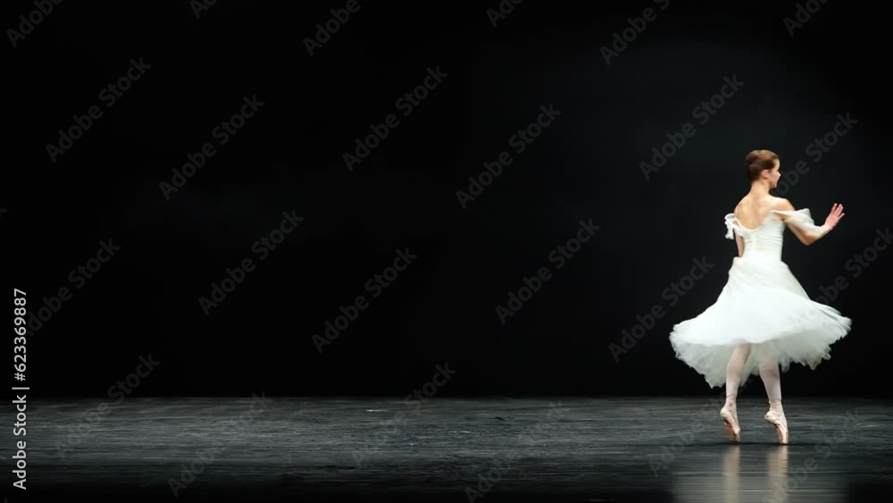 Super slow motion, ballet performance, graceful ballerina in a white tutu dance and perform dramatic choreographic elements on a black background, windy and beautiful dance. Super slow motion, ballet performance, graceful ballerina in a white tutu dance and perform dramatic choreographic elements on a black background, windy and beautiful dance.