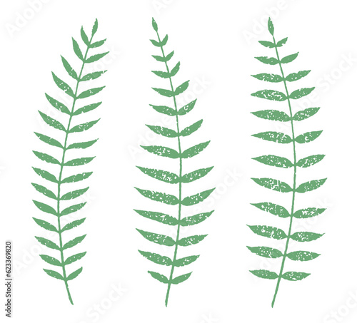 One-color fern leaves with grainy texture