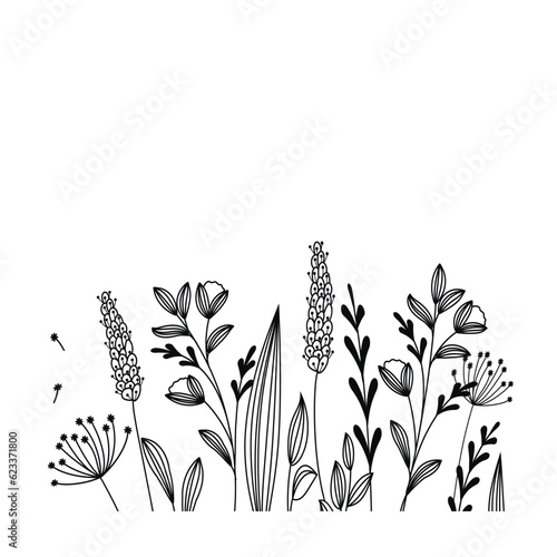 Set of branches and leaves collection. Floral vintage hand drawn set. Sketch line art illustration. Design greeting cards and invitations for wedding, birthday.