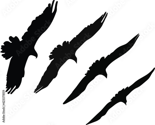 Flying eagle silhouette vector image drawing art with high resolution