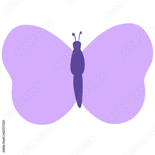 butterfly