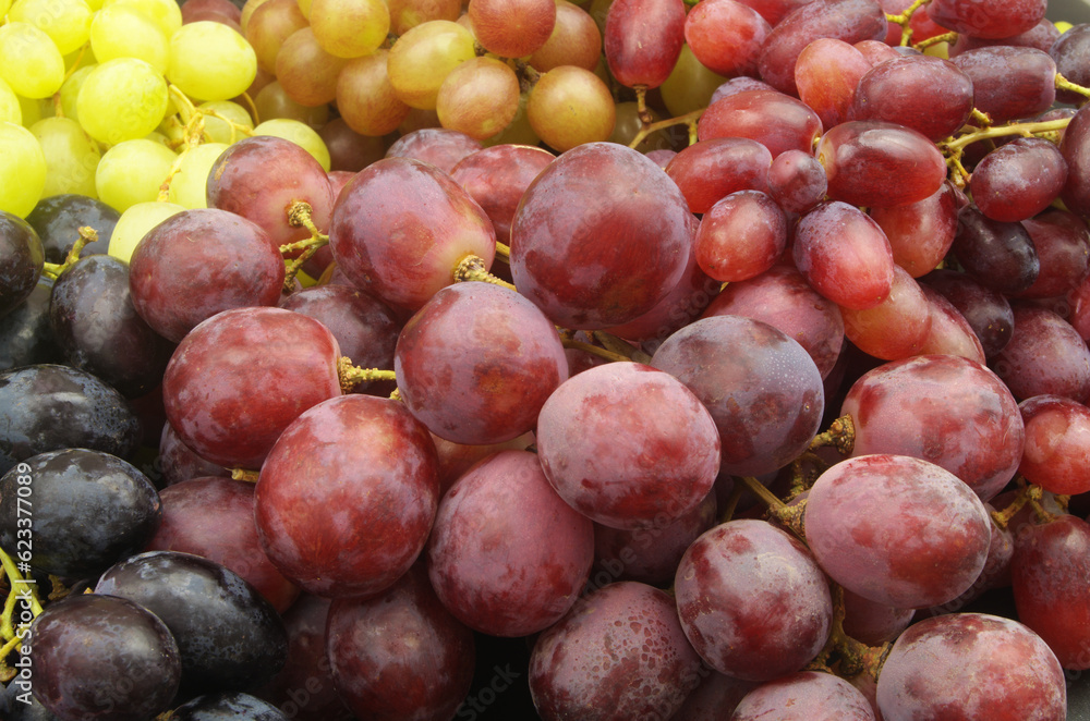 Many kinds of different grapes as background Many kinds of different grapes as background