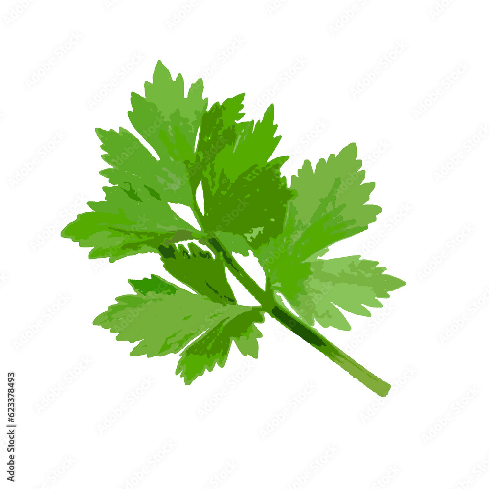 celery