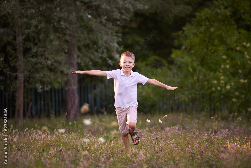 A little boy runs through the meadow with his arms wide open have fun A little boy runs through the meadow with his arms wide open have fun
