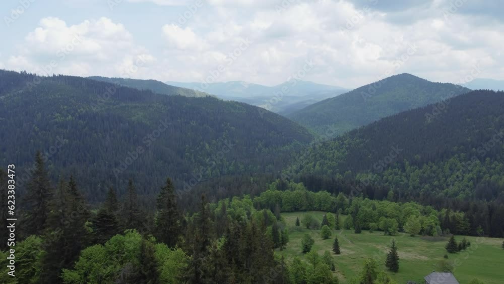 Mountain ridge covered with forests in Carpathian Mountains, aerial view Mountain ridge covered with forests in Carpathian Mountains, aerial view