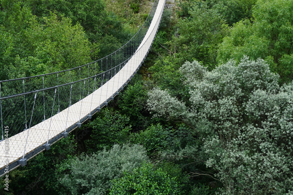 Pedestrian suspension bridge over green forest in Mondego pathways, Guarda - Portugal

