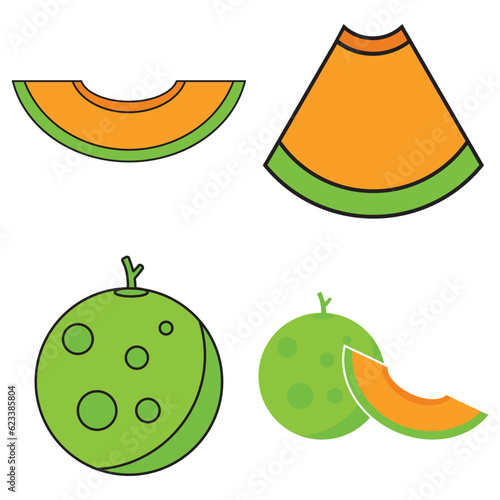 melon icon vector
