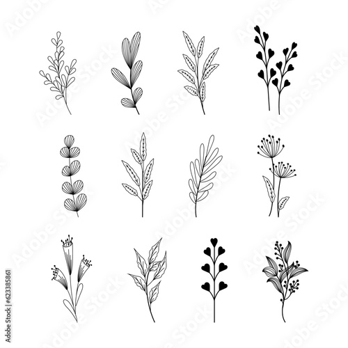 Set of branch and leaves collection. Floral hand drawn vintage set. Sketch line art illustration. Element design for greeting cards and invitations of the wedding, birthday