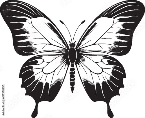 butterfly silhouette clipart butterfly 