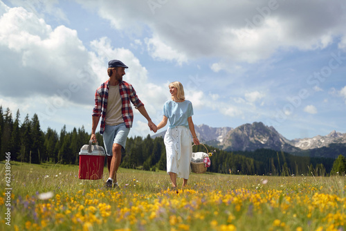 Young  smiling man and woman in love holding hands and walking in nature on a beautiful  day. Couple is holding picnic equipment.