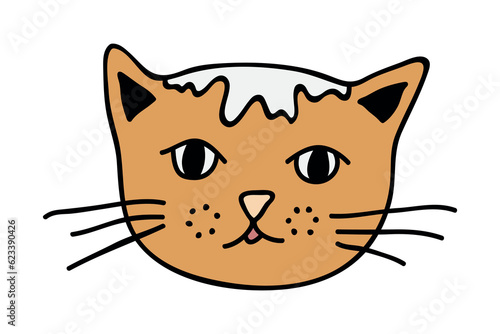 Hand drawn cat muzzle clipart. Cute pet face doodle