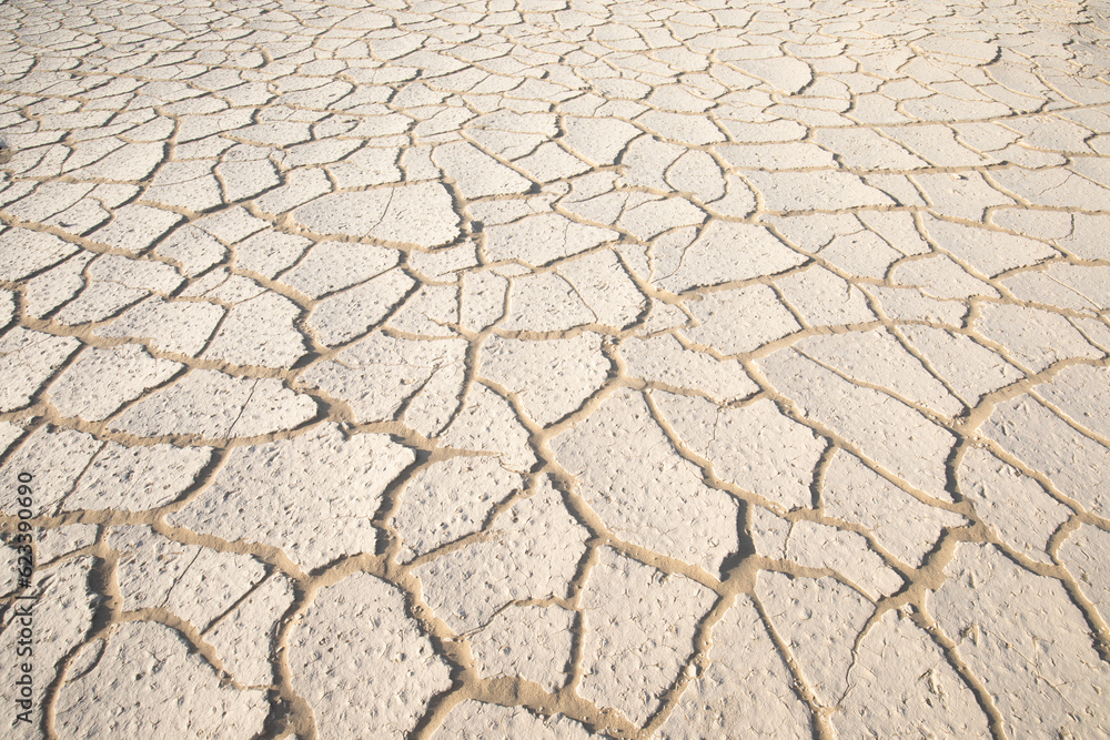 Global warming, drought, lack of rain, no seasonality The land is cracked. concept of environment change and global warming background Global warming, drought, lack of rain, no seasonality The land is cracked. concept of environment change and global warming background