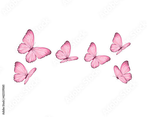 pink butterfly and flowers