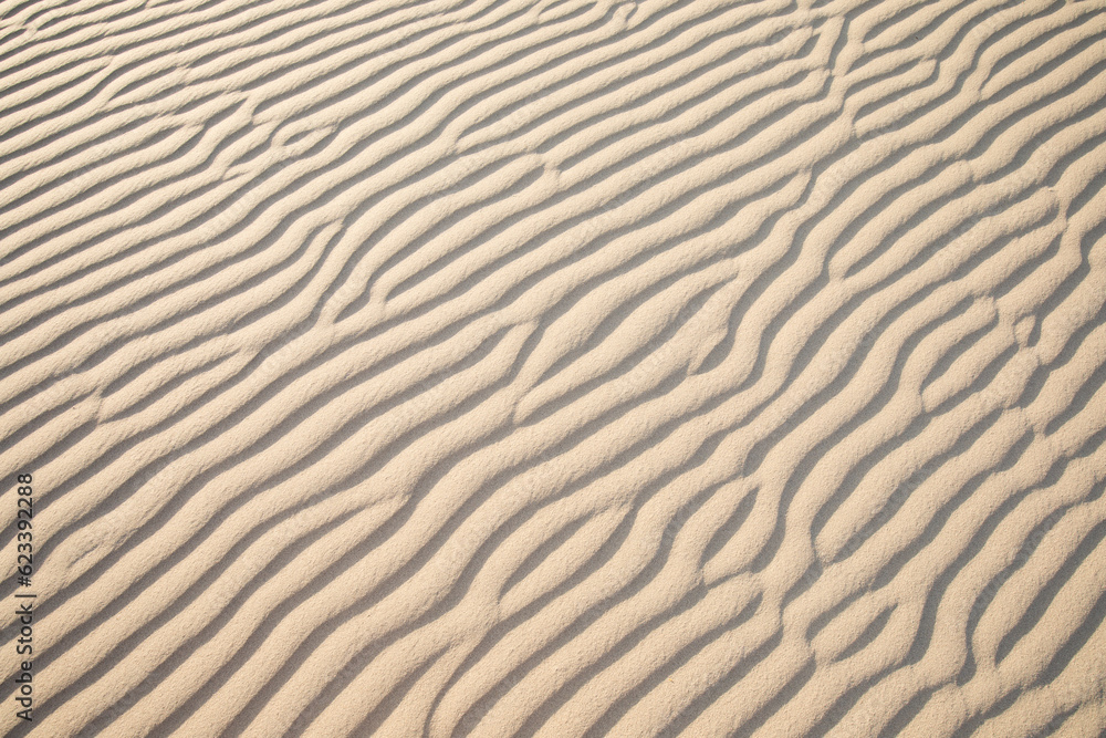 Scenic view on natural ripple sand pattern during sunrise at Mesquite Flat Sand Dunes, Death Valley National Park, California, USA. Morning walk in Mojave desert with Amargosa Mountain Range in back Scenic view on natural ripple sand pattern during sunrise at Mesquite Flat Sand Dunes, Death Valley National Park, California, USA. Morning walk in Mojave desert with Amargosa Mountain Range in back
