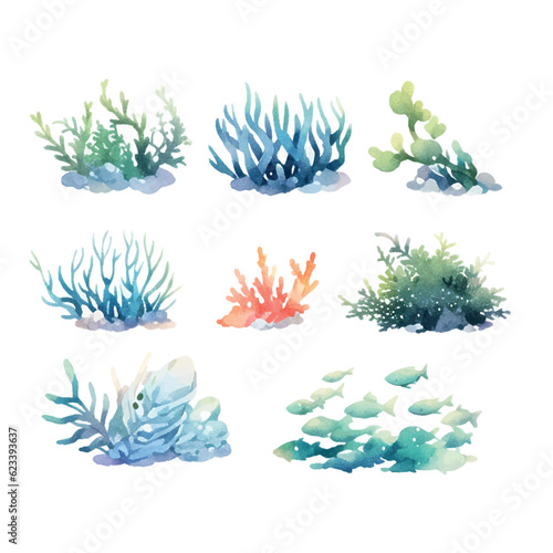 Seaweed watercolor. Vintage botanical illustration. Vector decoration. Hand drawn sketch.