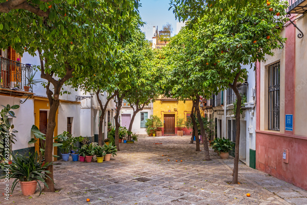 Fototapeta premium Plaza en el Barrio de Santa Cruz de Sevilla, una plaza típica con casas de colores y naranjos