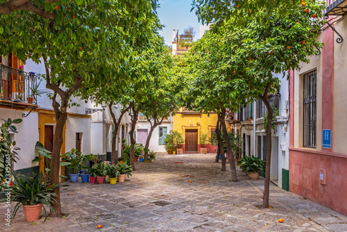 Plaza en el Barrio de Santa Cruz de Sevilla  una plaza t  pica con casas de colores y naranjos