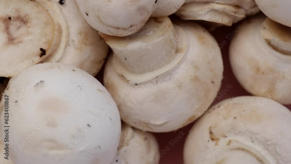 champignons, rotation in circle. mushroom Turning. selective focus champignons, rotation in circle. mushroom Turning. selective focus