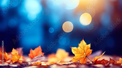 Colorful autumn leaves with bokeh background  seasonal beauty  nature concept.