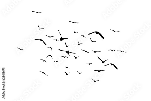 A flock of flying birds. Vector illustration