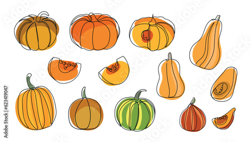 Different types of pumpkins set hand drawn in doodle style. Continuous line drawing pumpkins. Autumn pumpkin line art set.