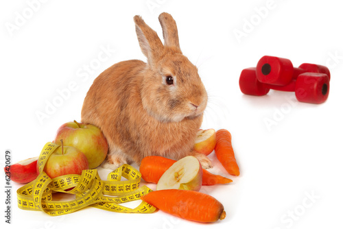 Young rabbit bunny with fresh vegetables and measuring tape,  isolated on white © Oleg
