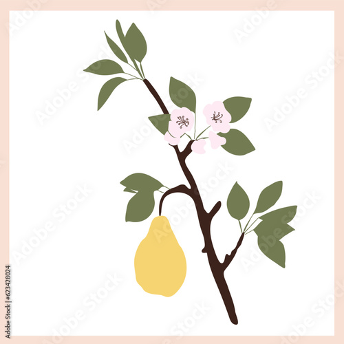 Branch of pear tree. Flat vector contour illustration. juicy pear on a branch Abstract fruit vector illustration. refreshing taste, high in vitamins, yellow fruit. decorative interior pot trees.
