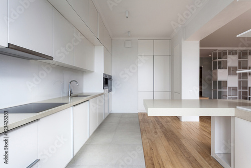 Kitchen interior with white cabinet and integrated appliances