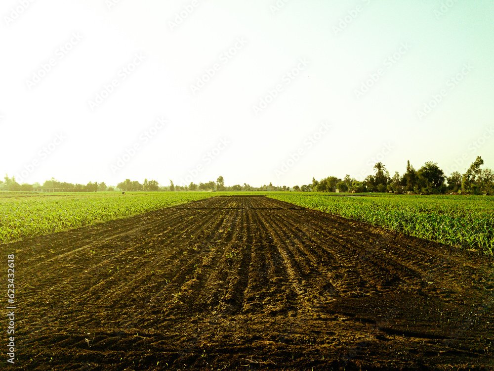 plowed field in spring