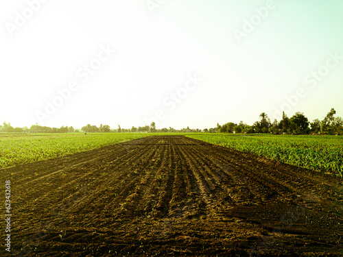 plowed field in spring
