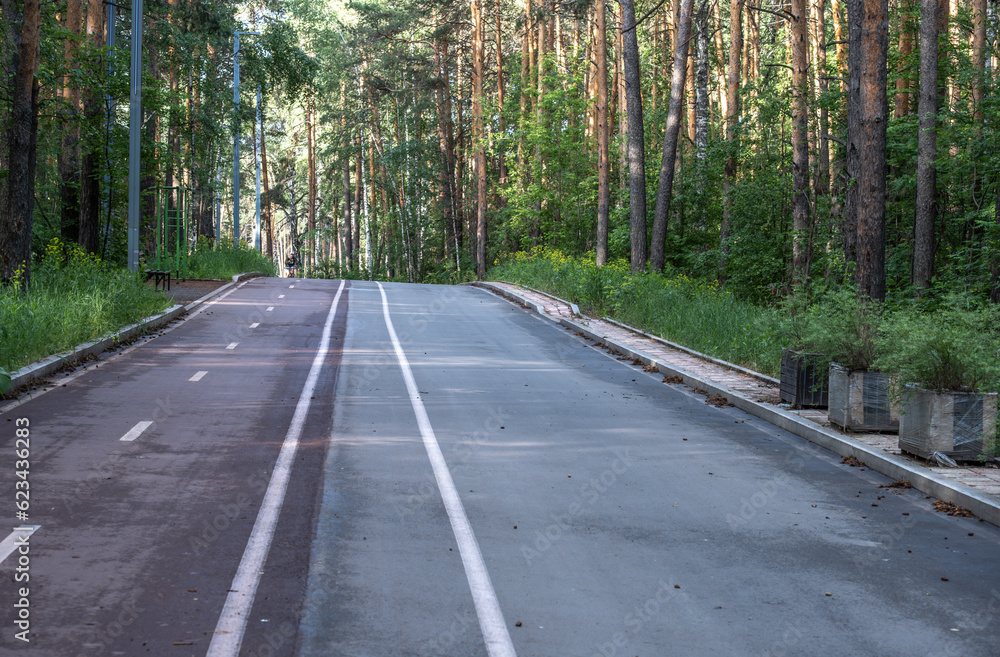 Asphalt road for cycling in the green forest. Asphalt road for cycling in the green forest.