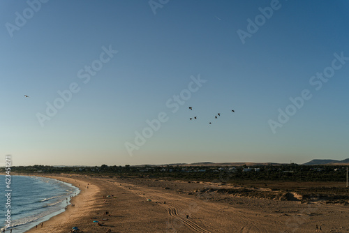 Imagen de la playa de trafalgar al atardecer con bandada de pájaros sobrevolándola  photo
