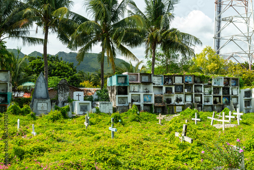 Oslob Public Cemetery,overgrown by tropical vegetation,surrounding stacked tombs, Oslob, Cebu Province, Central Visayas, Philippines. photo