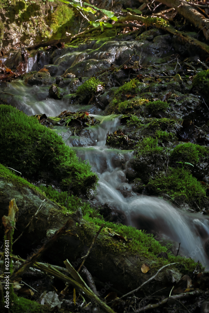 mountain stream