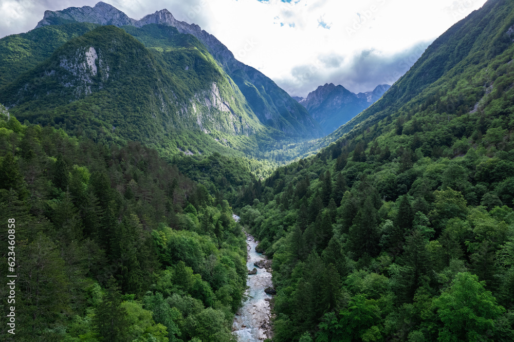 Alpine landscape with green forest in Soca valley, Slovenia. Aerial drone view