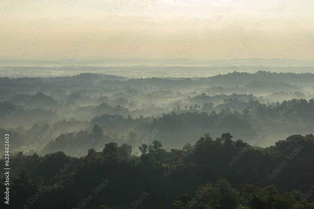 Foggy Landscape Revealed from Hilltop