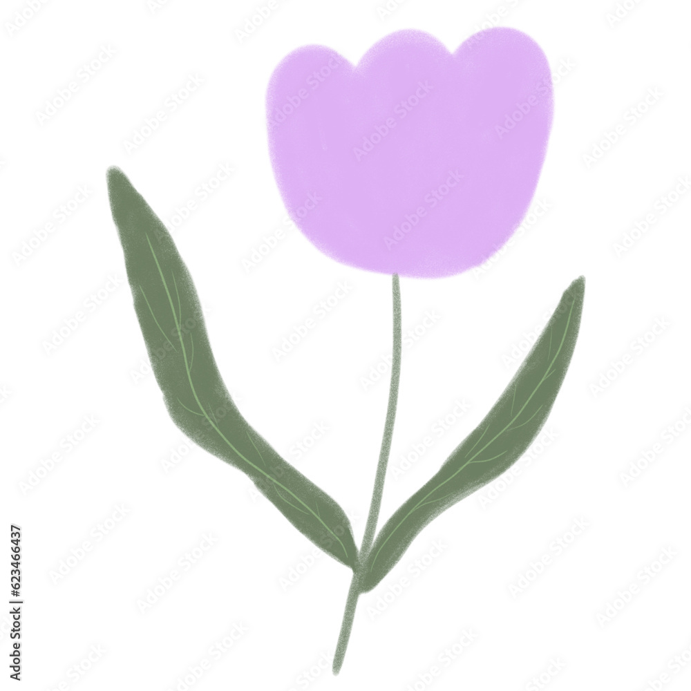 Purple Tulip Purple Tulip