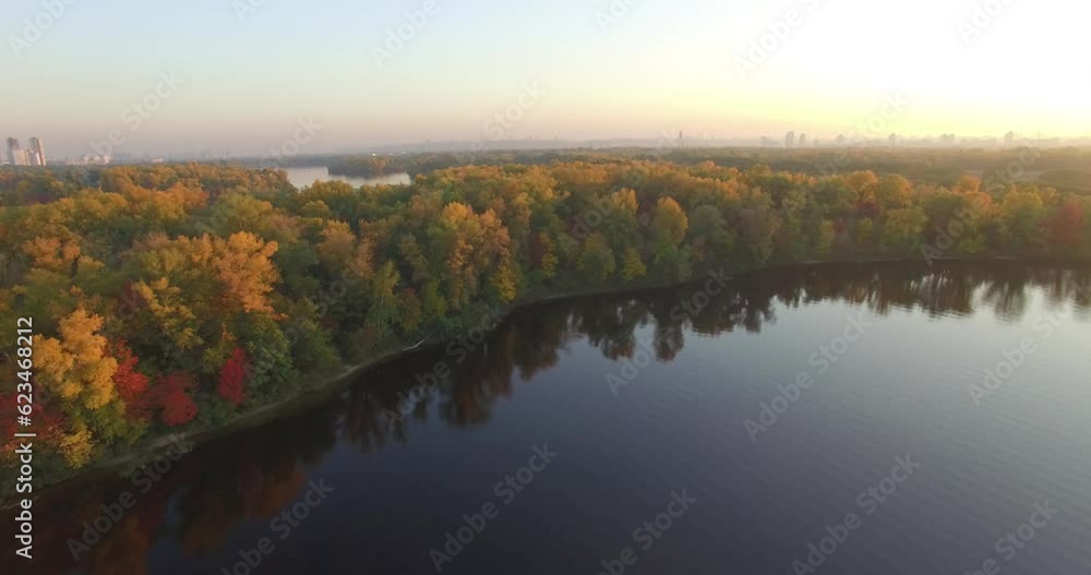 drone captures red leaves in wood . fall season drone captures red leaves in wood . fall season