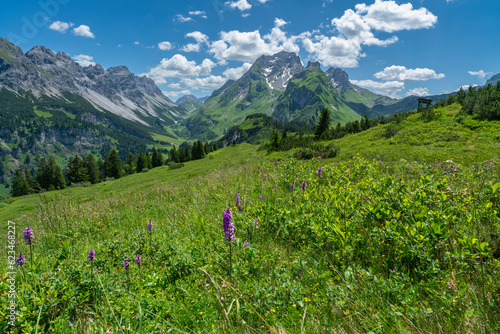 Alpenblumen auf bunten Wiesen und der Gipfel namens Rote Wand im großen Walsertal, mit felsigen Bergen, steilen, steinigen Hängen und Felsen auf der Alm, an einem sonnigen Sommertag in Vorarlberg photo