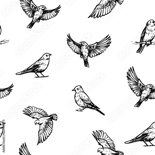 Flying birds. Vector sketch illustration on transparent background