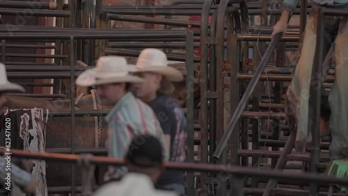 This video shows a rodeo bull waiting in a bull pen as cowboys walk past. photo