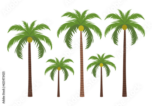 Set of palm trees isolated on white background. Vector illustration in flat style