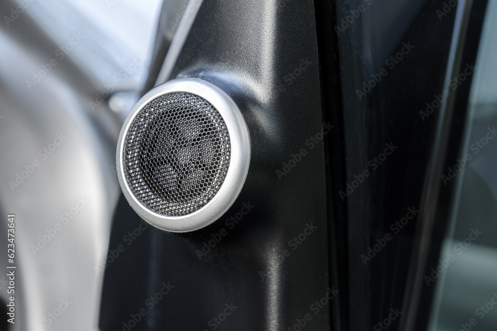 Circular tweeter, mounted on car door panels Circular tweeter, mounted on car door panels