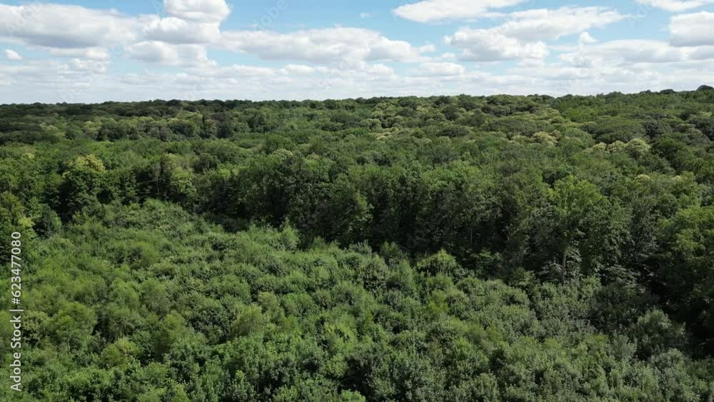 Forêt de Fausses Reposes Forêt de Fausses Reposes