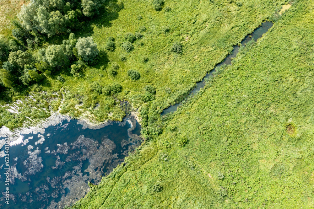 Drone-captured photo: Serene lake surrounded by green grass, clear sunny weather. Vibrant and tranquil summer landscape with reflective lake, adding depth and beauty to the scene.