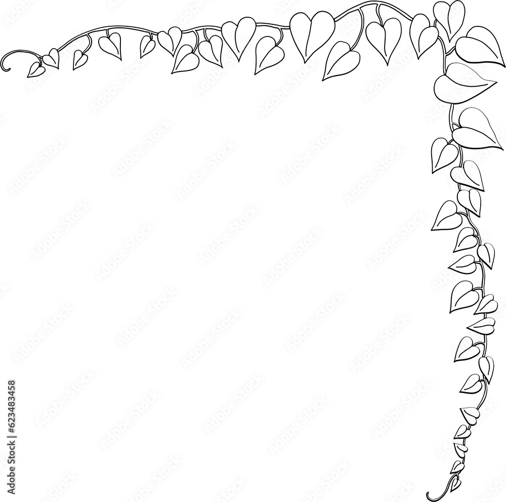 Fototapeta premium Simplicity ivy freehand drawing