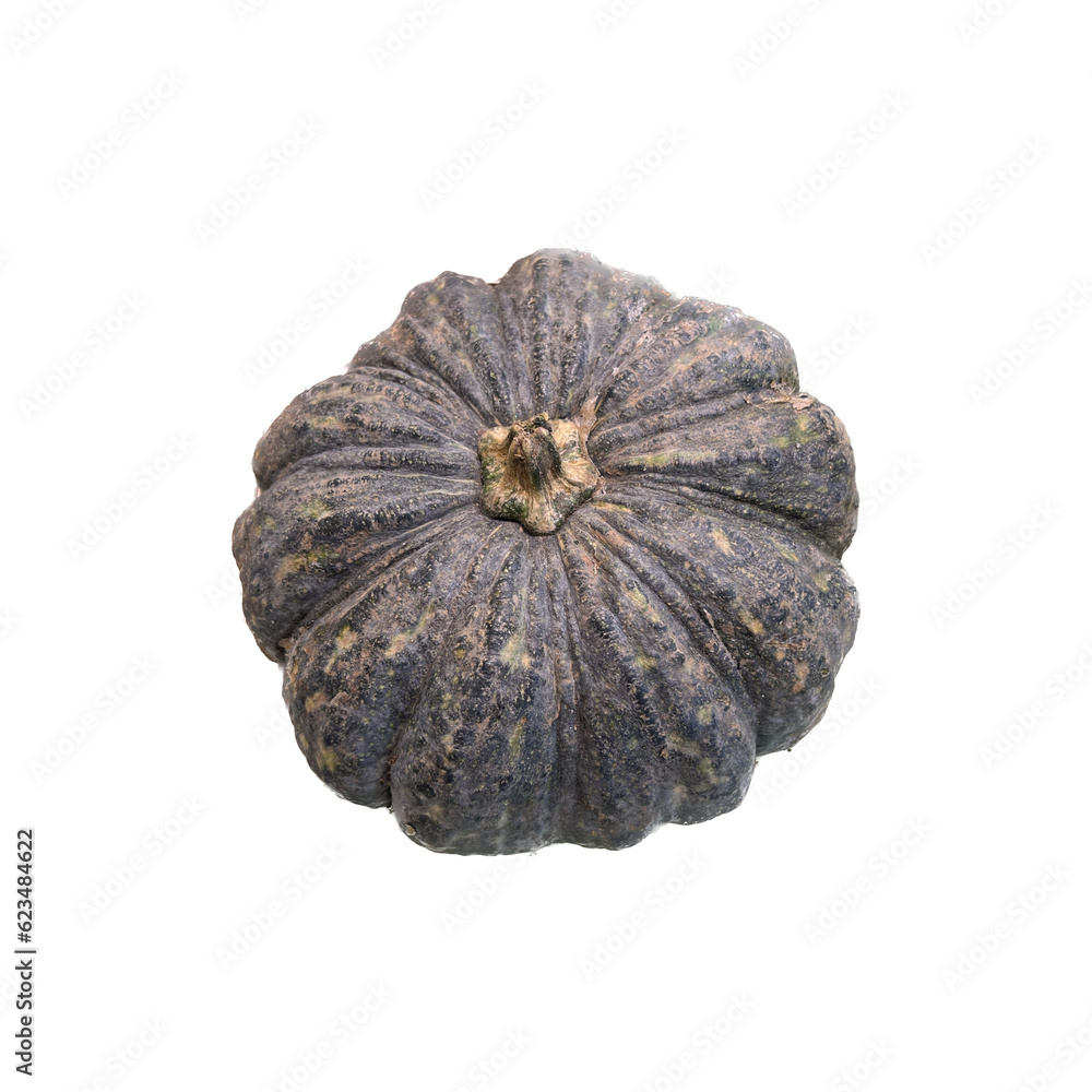 pumpkin isolated on white background pumpkin isolated on white background
